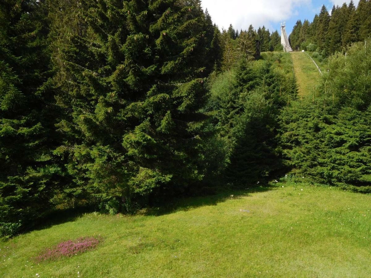 Ferienwohnung Schwarzwaldrauschen Schönwalde Buitenkant foto